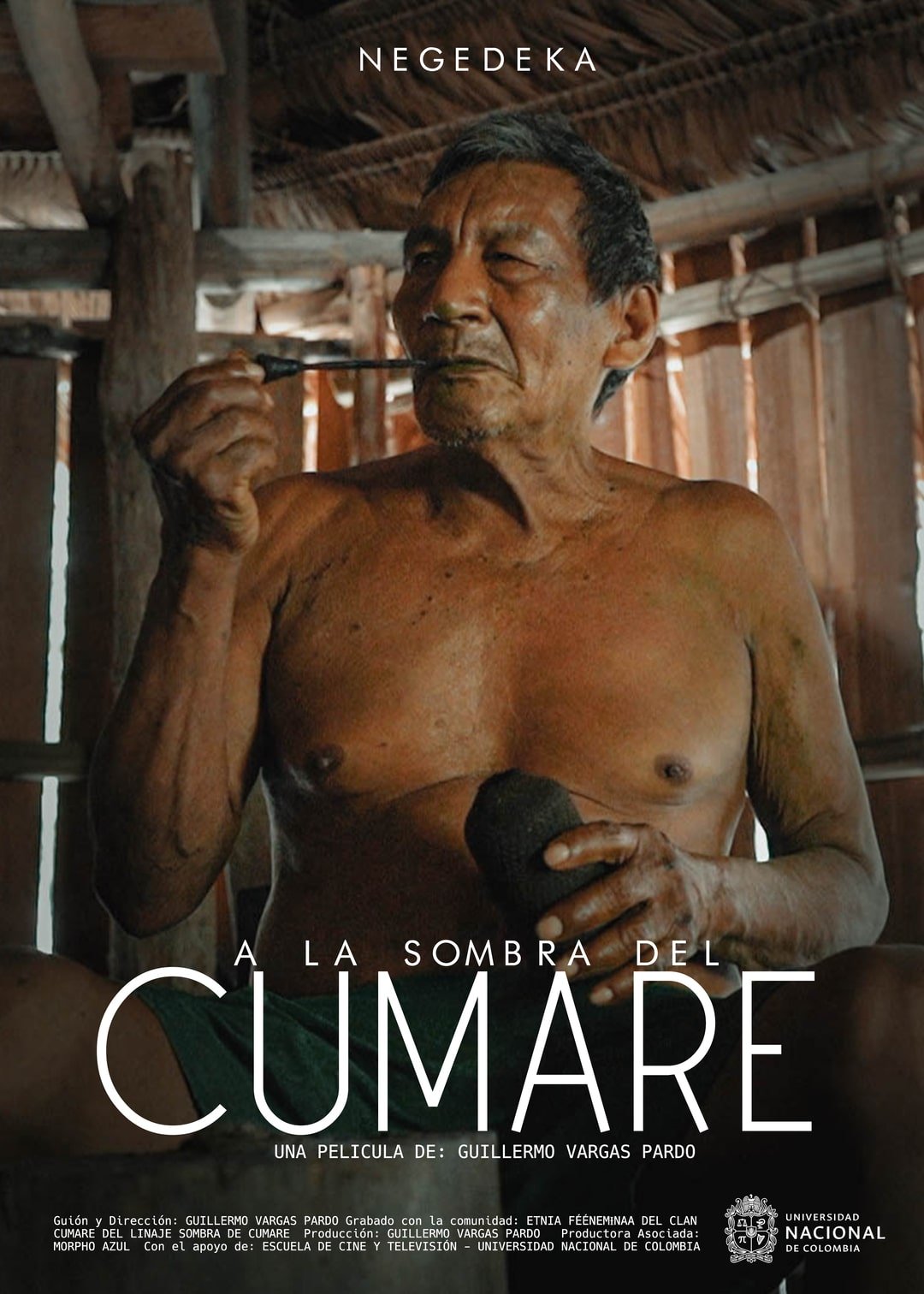 A la sombra de Cumaré